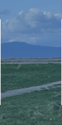 Property Line Survey