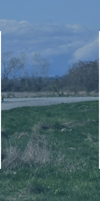 Topographic Site Survey Package