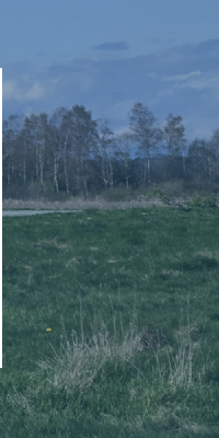 Topographic Site Survey Package